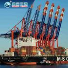Παγκόσμια εκπλήρωση υπηρεσιών DDP διοικητικών μεριμνών ηλεκτρονικού εμπορίου Η ναυτιλία πτώσης