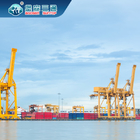 FBA διεθνής Η ναυτιλία πτώσης επιχείρηση από την Κίνα στις ΗΠΑ Ευρώπη DDU DDP